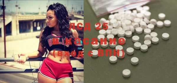spice Сосновый Бор