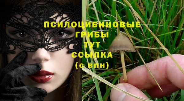 spice Сосновый Бор