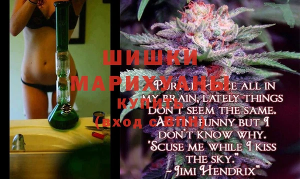 spice Сосновый Бор