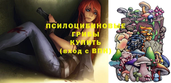spice Сосновый Бор