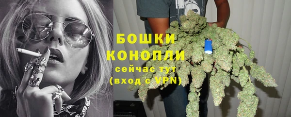 спиды Сосновоборск