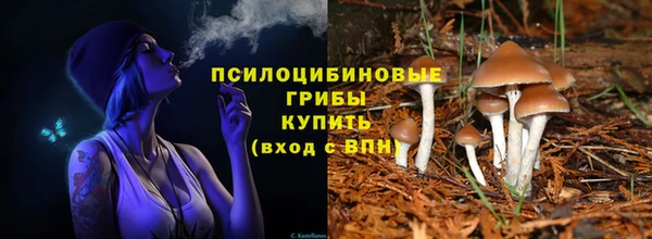 спиды Сосновоборск