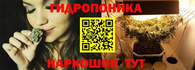 apvp Кандалакша