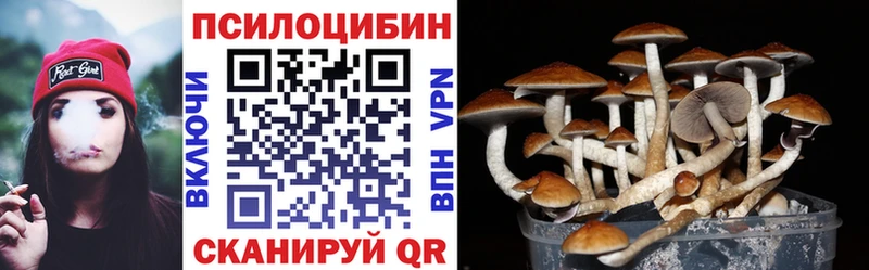 Псилоцибиновые грибы Psilocybine cubensis  Урай 