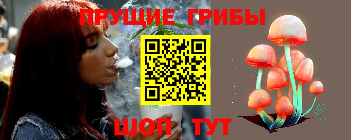Галлюциногенные грибы Psilocybe  сколько стоит  Вход с VPN  Урай  Псилоцибиновые грибы ЛСД 